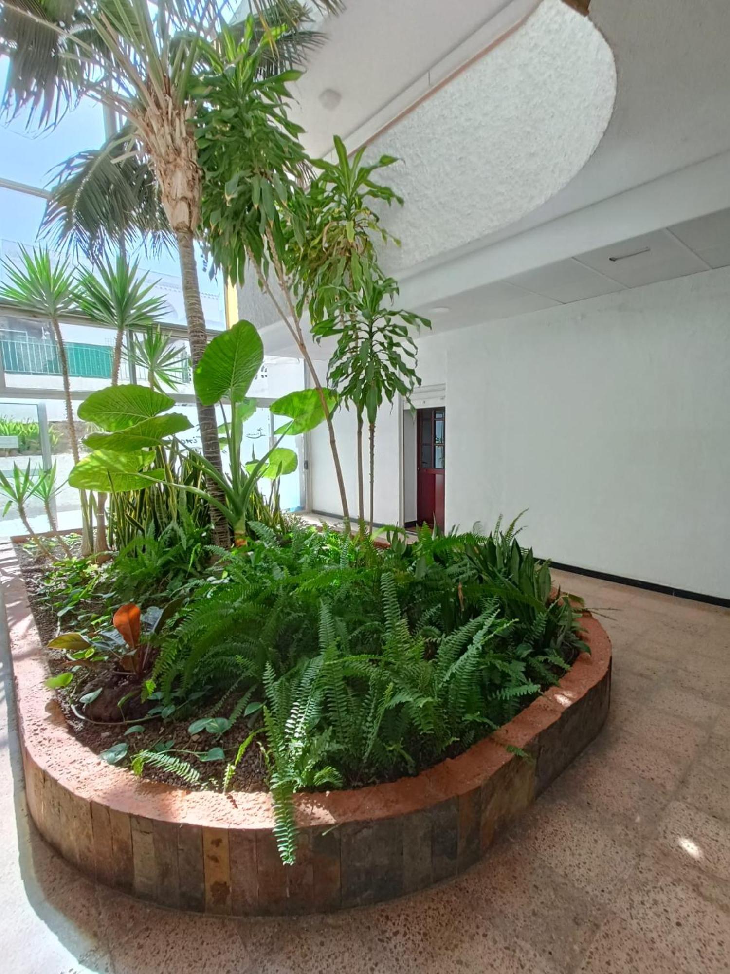 马斯帕洛马斯Playa Del Ingles 5 Min Walk From Yumbo! 512公寓 外观 照片
